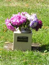 B043 Click here for a magnified image Photo - B043