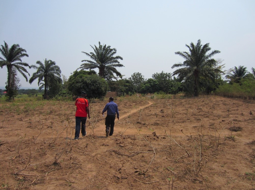 Gasenyi nursery